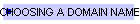 CHOOSING A DOMAIN NAME