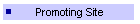 Promoting Site